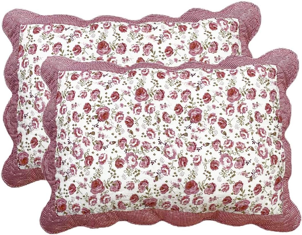 vctops 2-Piece Boho Cotton Quilted Bed Pillow Shams Floral Printed Patchwork Pillow Shams Set, Standard Size (510 Blue, 20"x28")