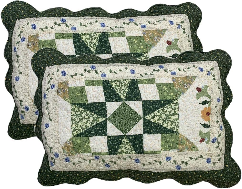 vctops 2-Piece Boho Cotton Quilted Bed Pillow Shams Floral Printed Patchwork Pillow Shams Set, Standard Size (510 Blue, 20"x28")