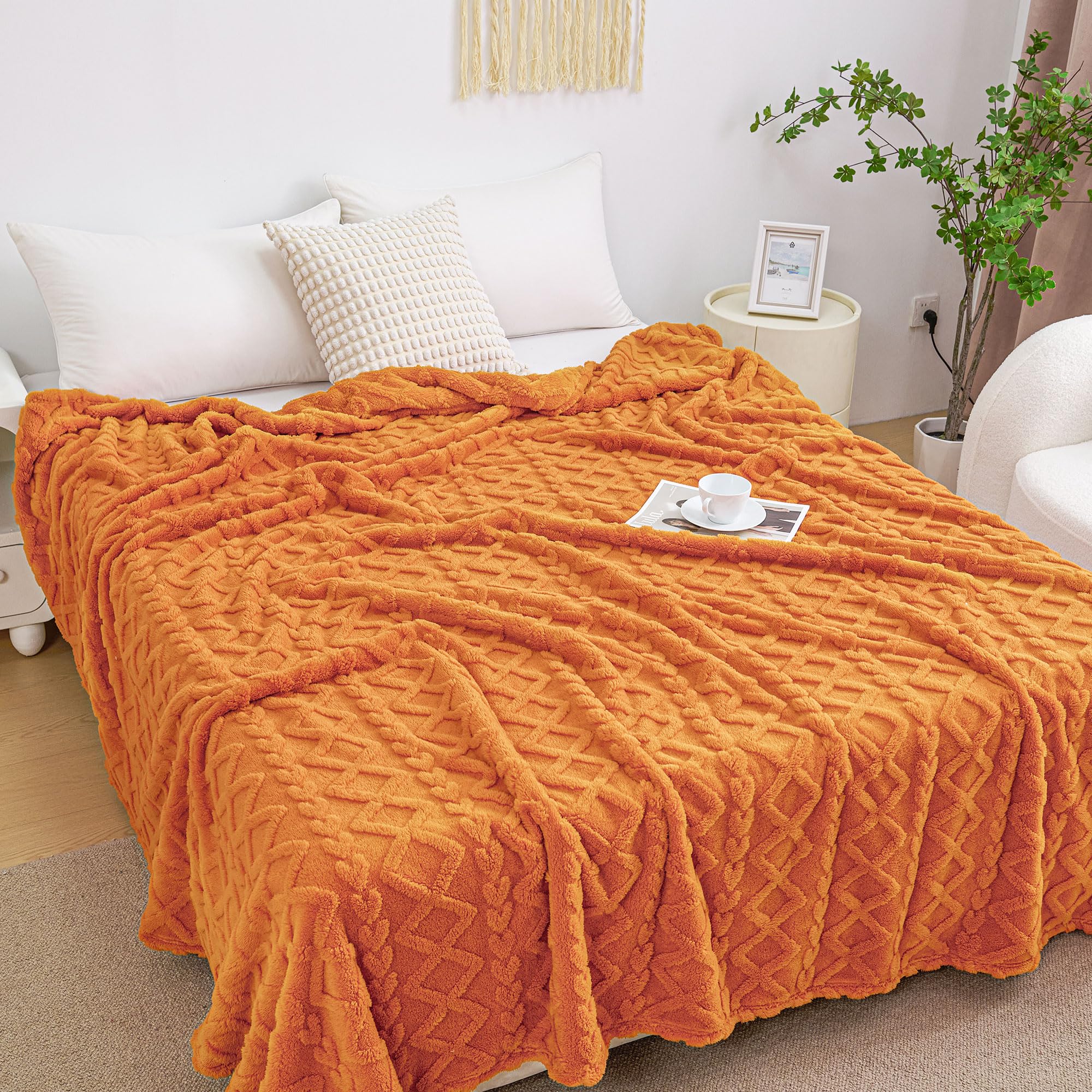 Aganear Fleece Throw Blanket
